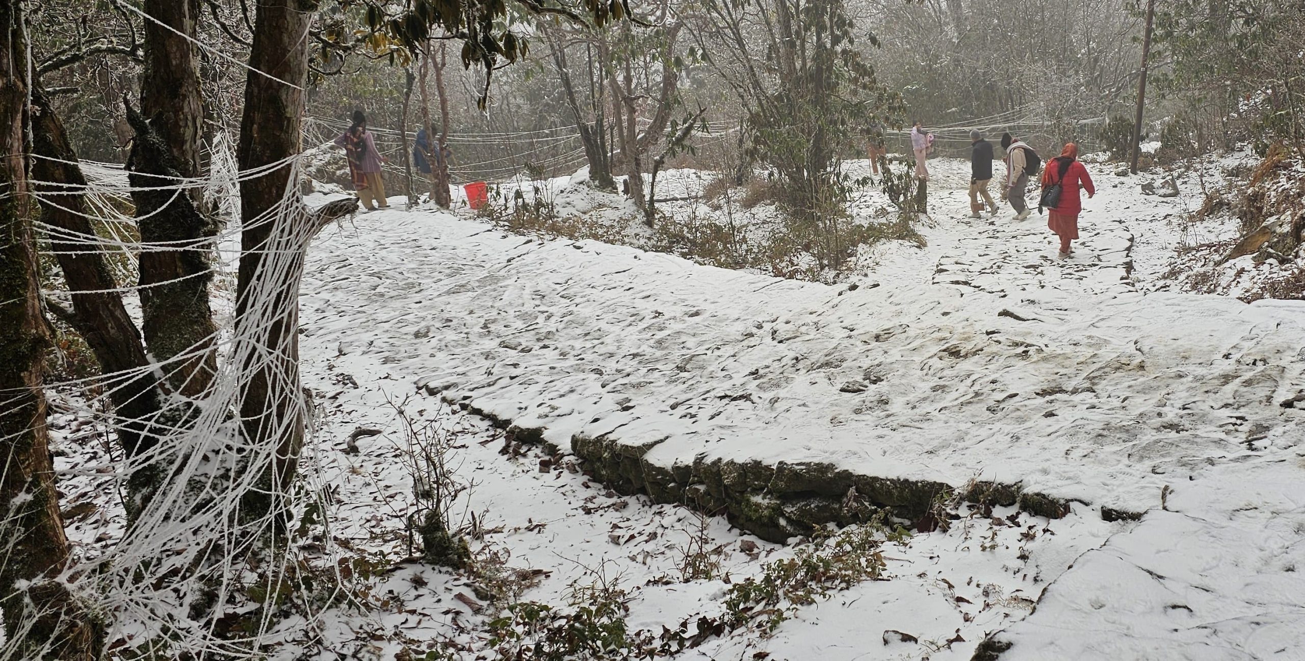 पाथीभरामा दोस्रो पटक हिमपात
