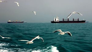 हर्मुज जलमार्ग खुल्दा इन्धन आपूर्तिमा राहतसँगै दीर्घकालीन अनिश्चितता यथावत