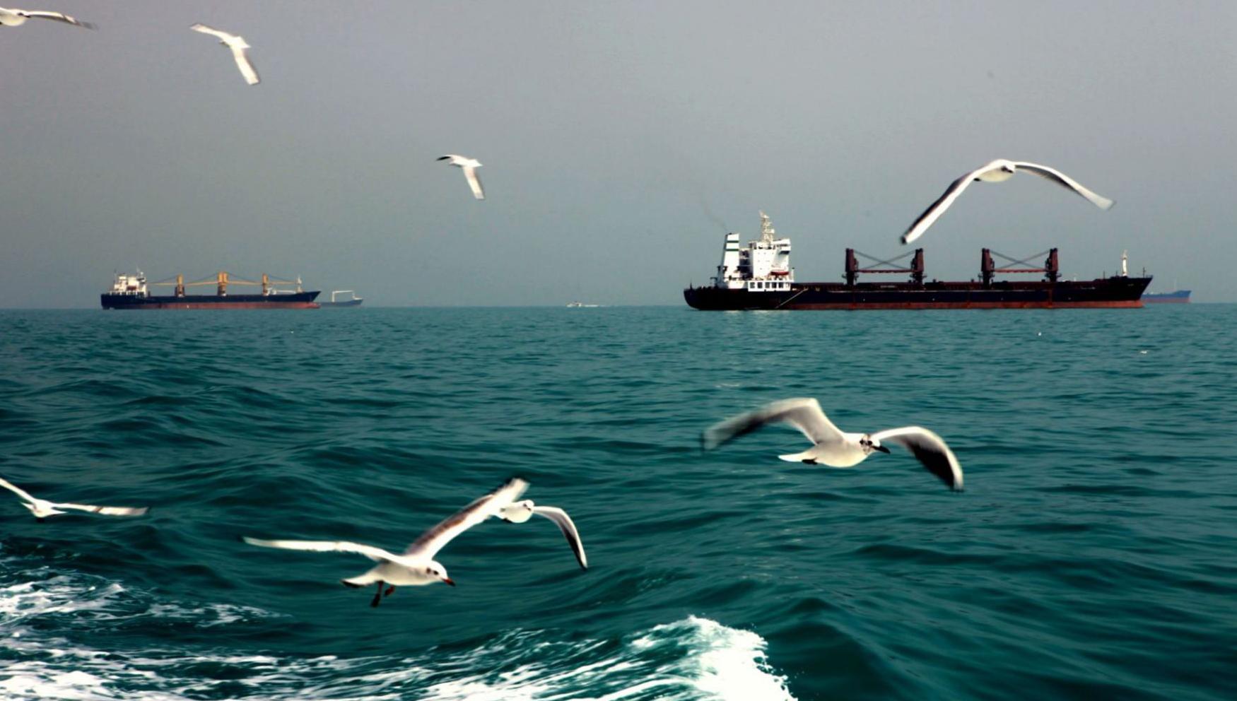 हर्मुज जलमार्ग खुल्दा इन्धन आपूर्तिमा राहतसँगै दीर्घकालीन अनिश्चितता यथावत