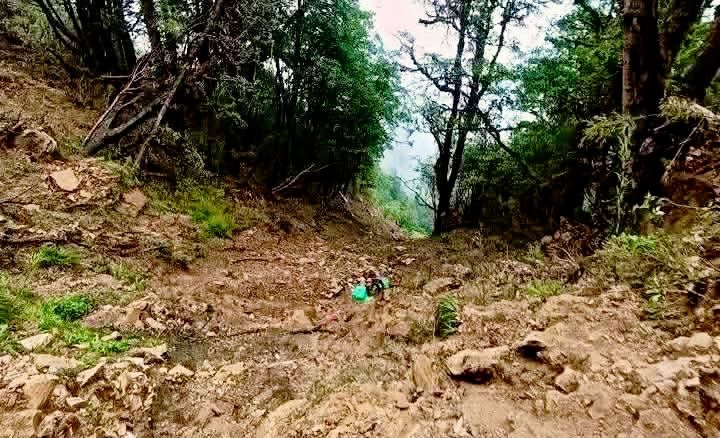 रोल्पामा जिप दुर्घटना : २० जनाको ज्यान गयो
