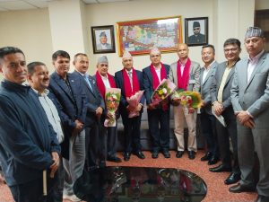 विद्युत व्यापारमा निजी क्षेत्रलाई सहभागी गराउनेसहित नियमन आयोगसँग इप्पानका १२ माग